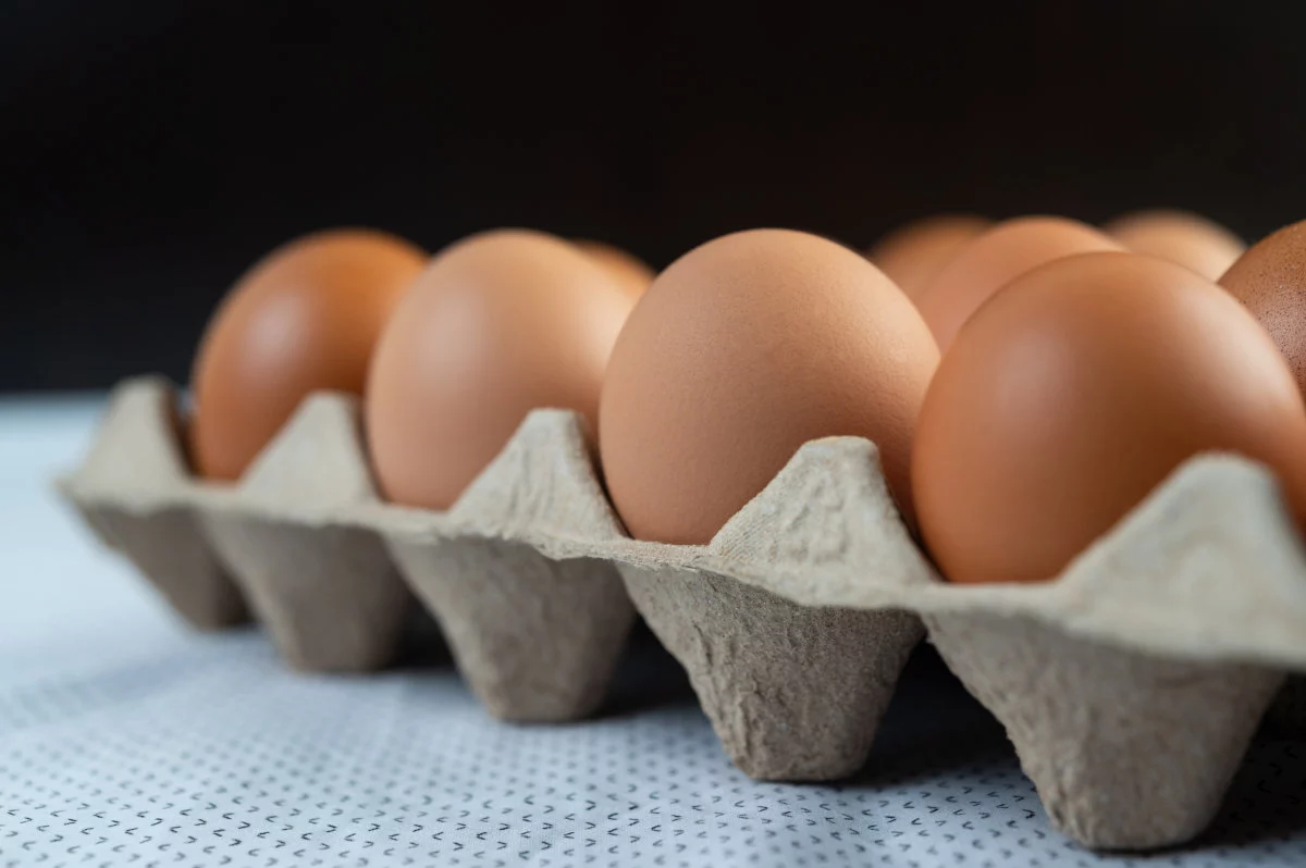 Chicken eggs placed on an egg tray. Close-up.
