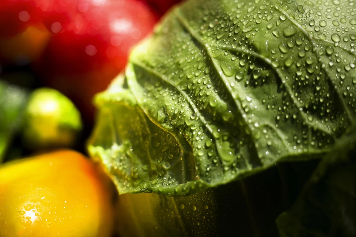 Una foglia verde in primo piano, ricoperta di goccioline dacqua, è affiancata da verdure colorate sfocate sullo sfondo.