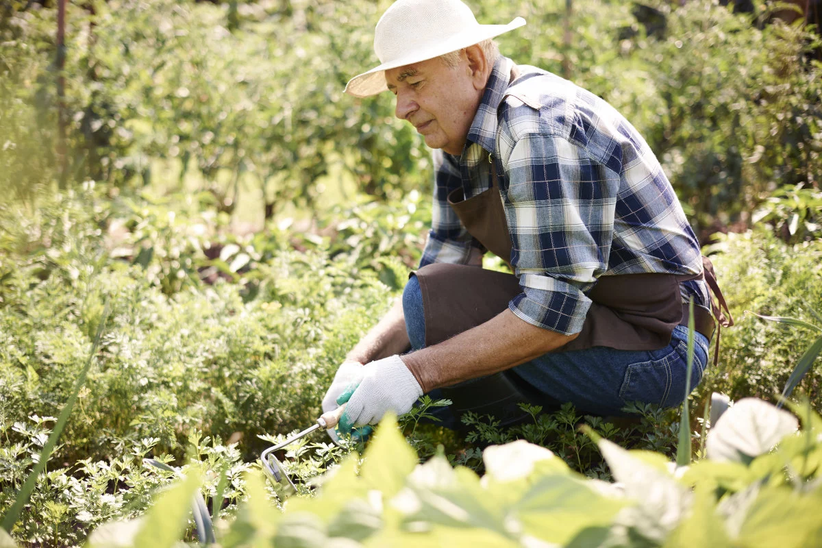 Agricoltuta montagna