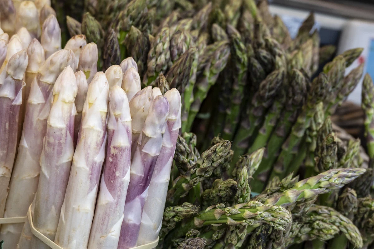 Limmagine mostra una varietà di asparagi bianchi con sfumature viola e asparagi verdi.